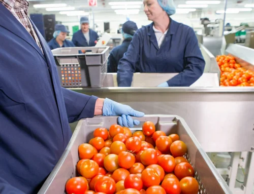 The Benefits of Plastic Pallets in the Food Industry